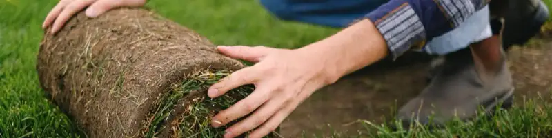 sod installation in Corpus Christi, TX