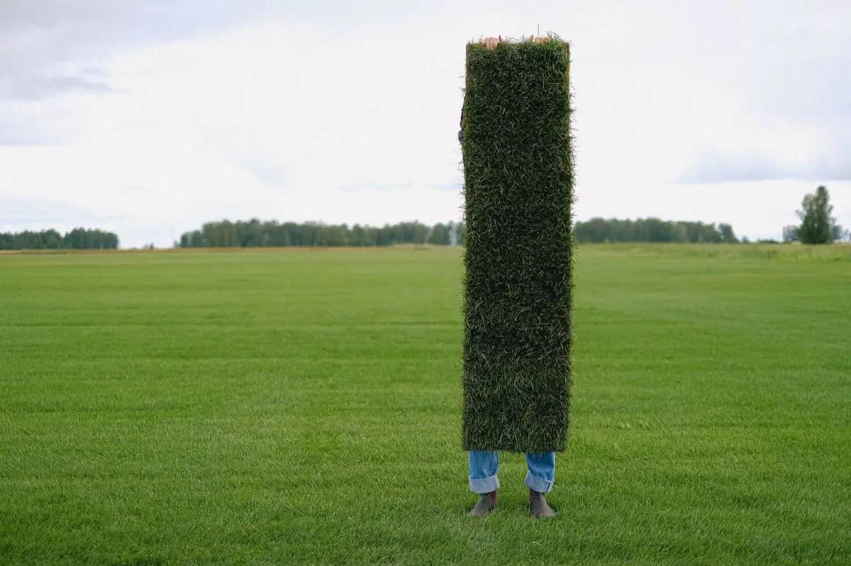 Commercial & HOA Sod in Corpus Christi, TX